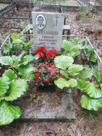 Михайлов Николай Лаврентьевич
